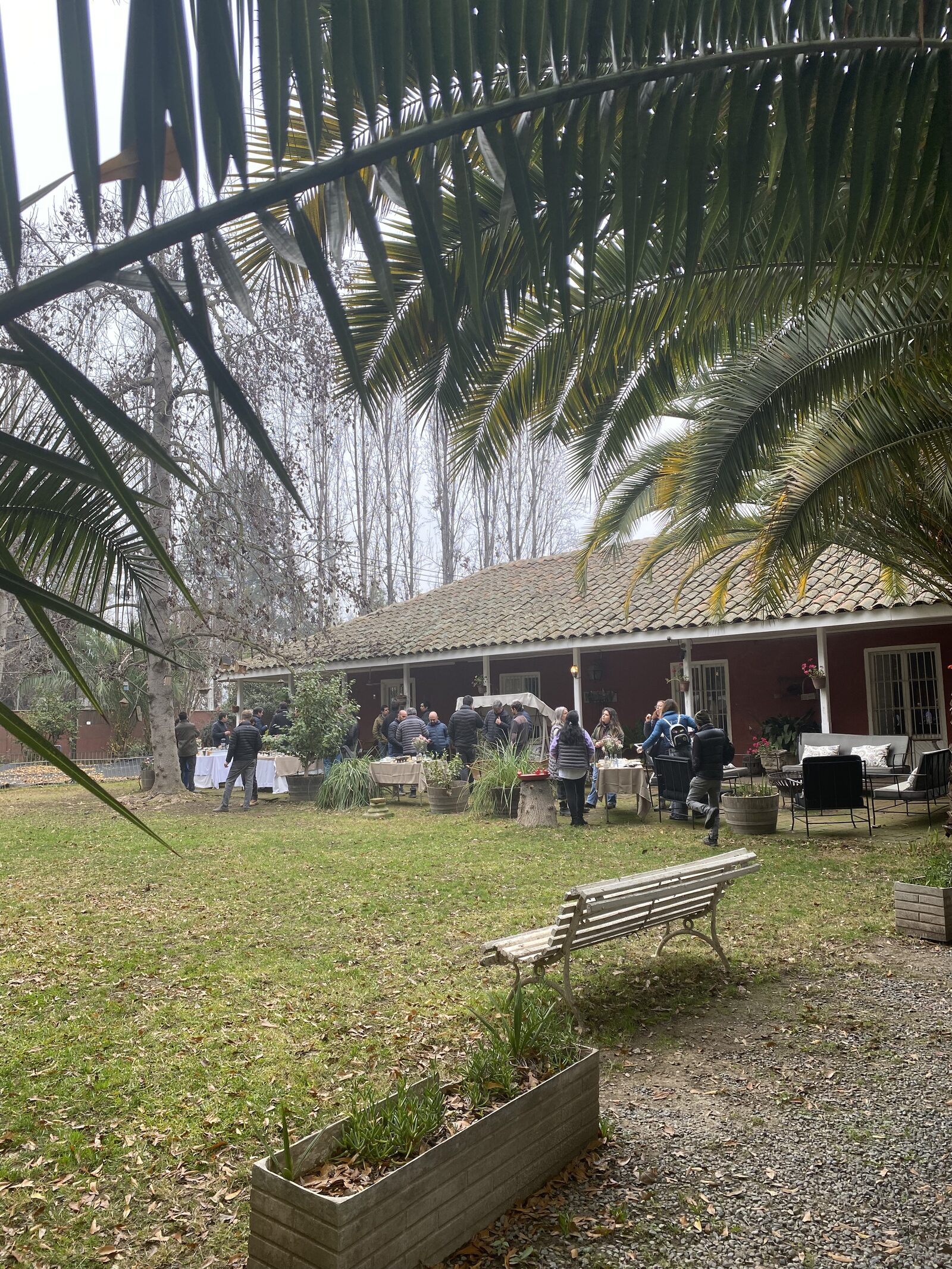 Encuentro de equipo en la terraza