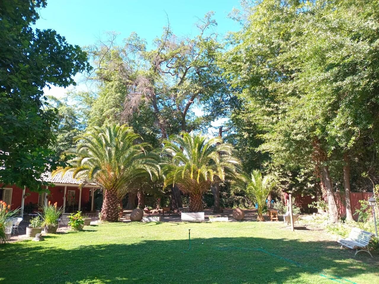 Jardín con palmeras