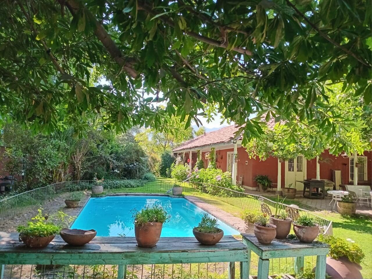 Piscina rodeada de jardín